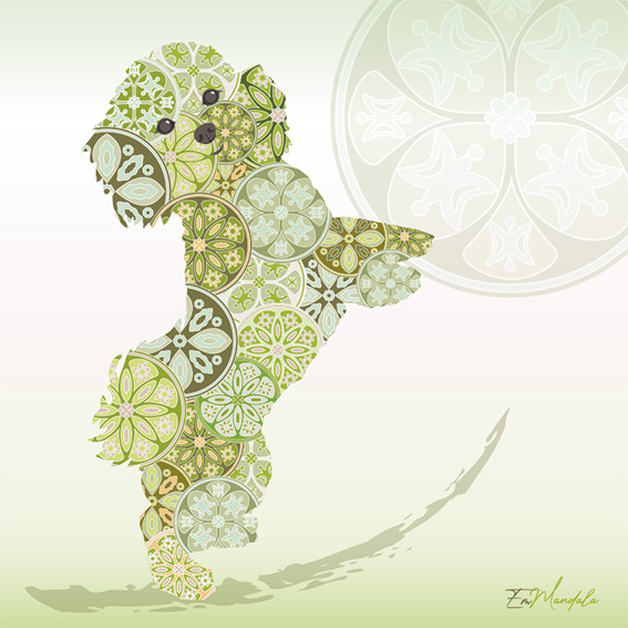 Mandala Bichon 1