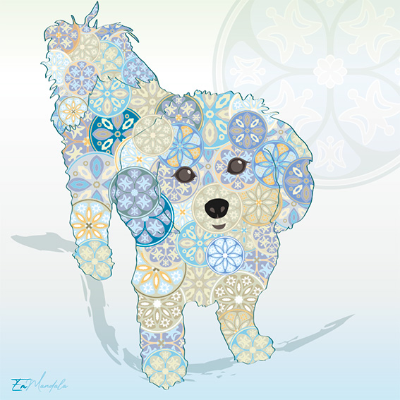 Mandala Bichon 2