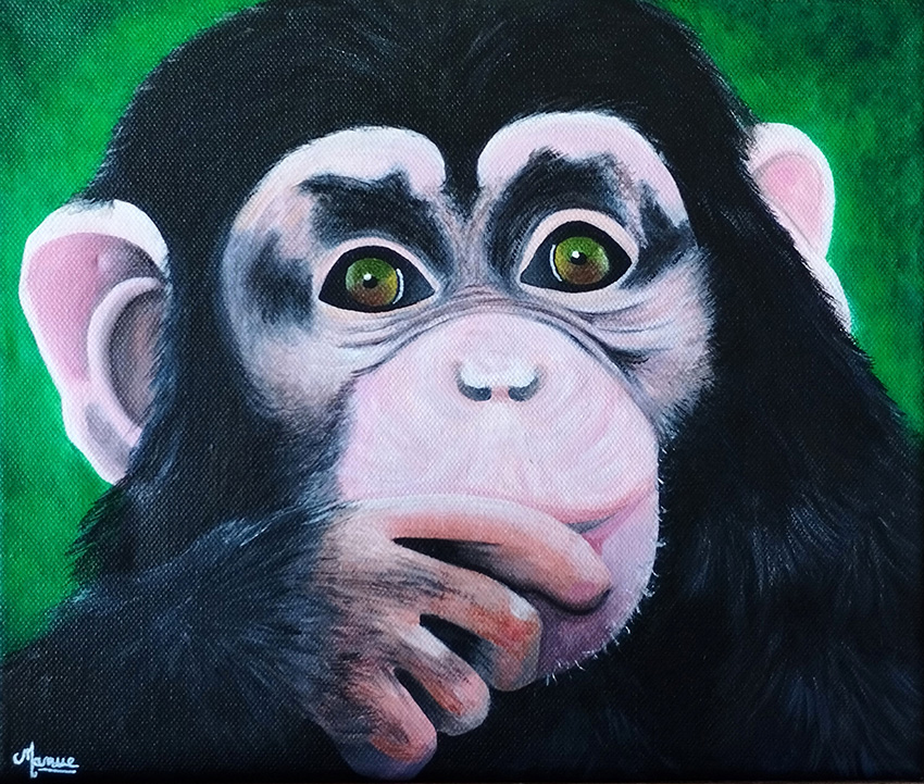 Le jeune chimpanzé, Acrylique sur toile 25x 30 cm